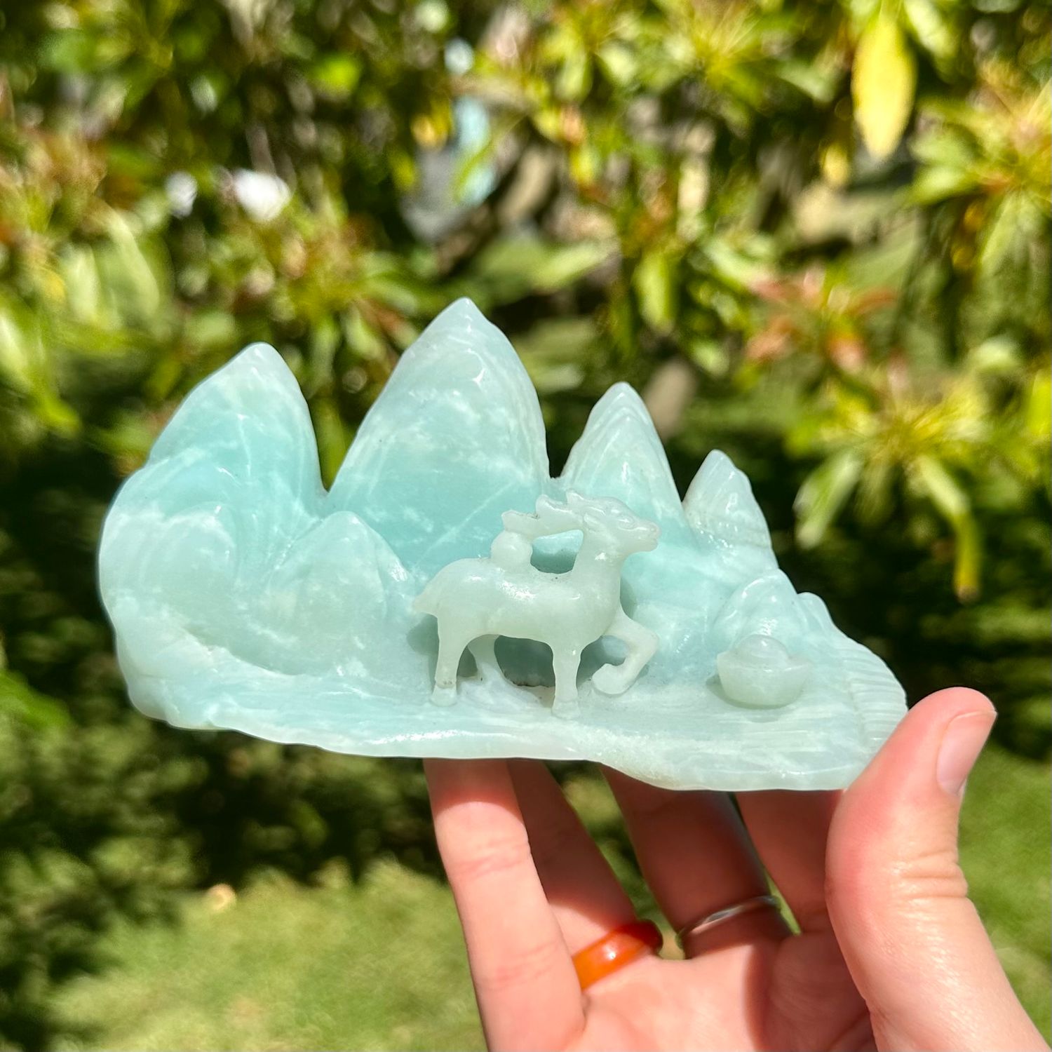 Caribbean Calcite Reindeer Scenic
