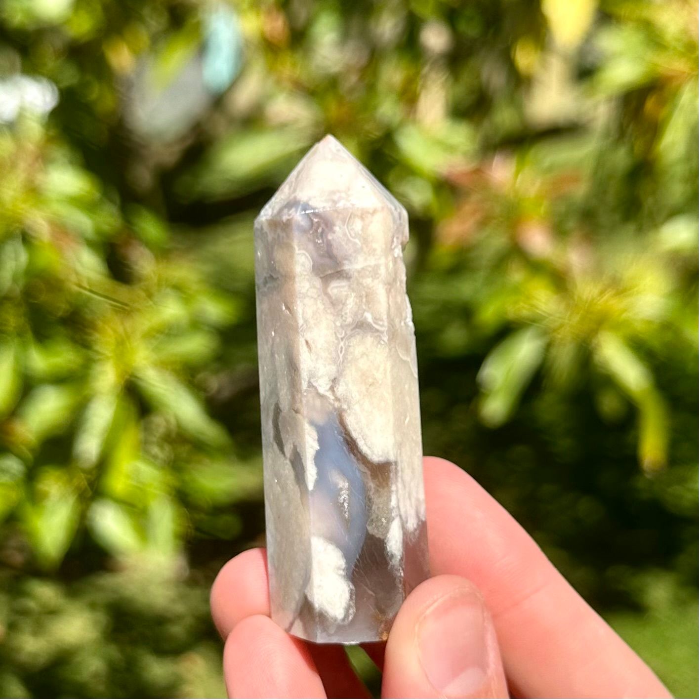 Black Flower Agate Point