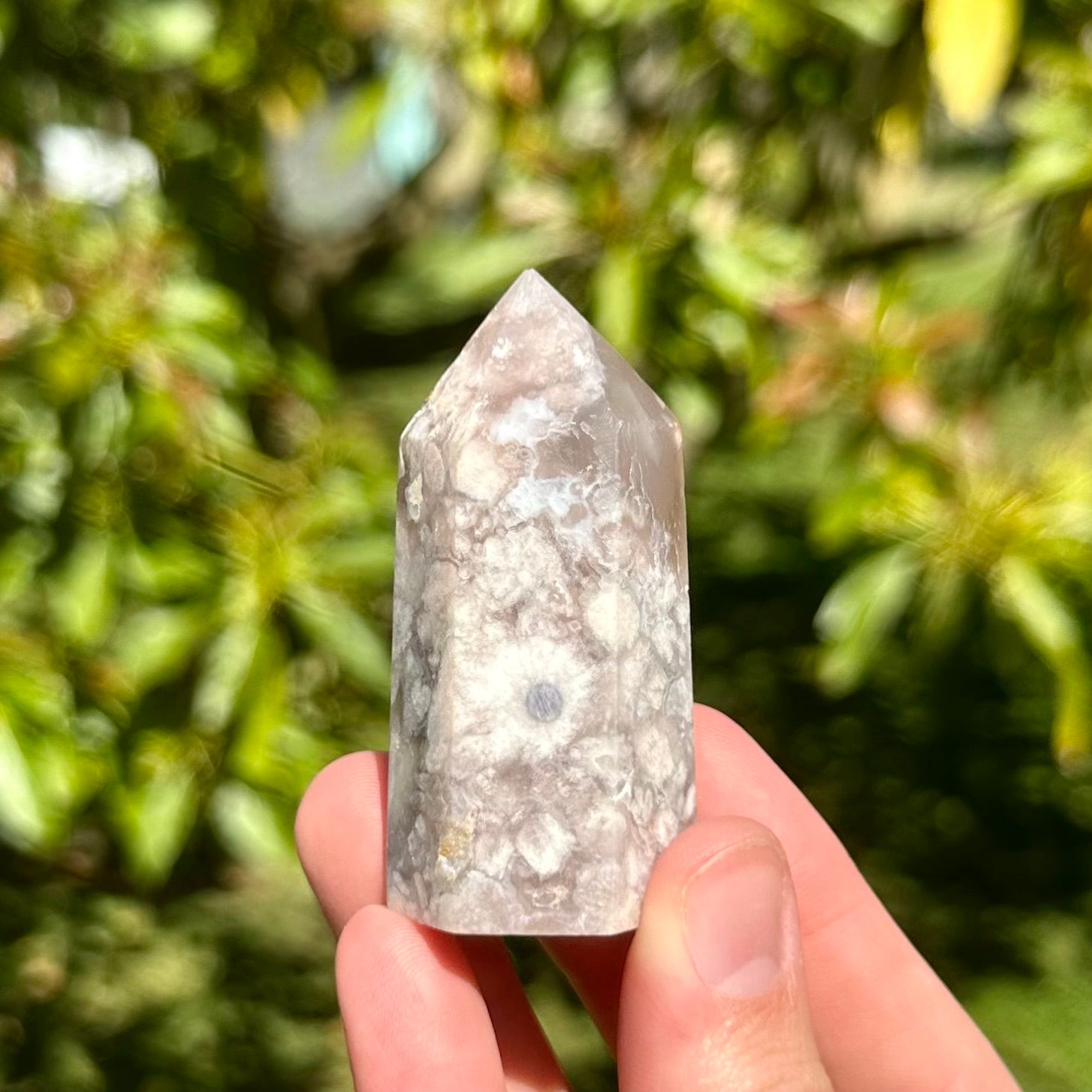 Black Flower Agate Point