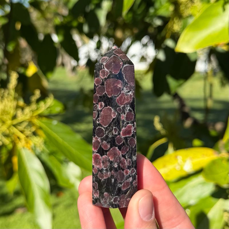 Garnet Point