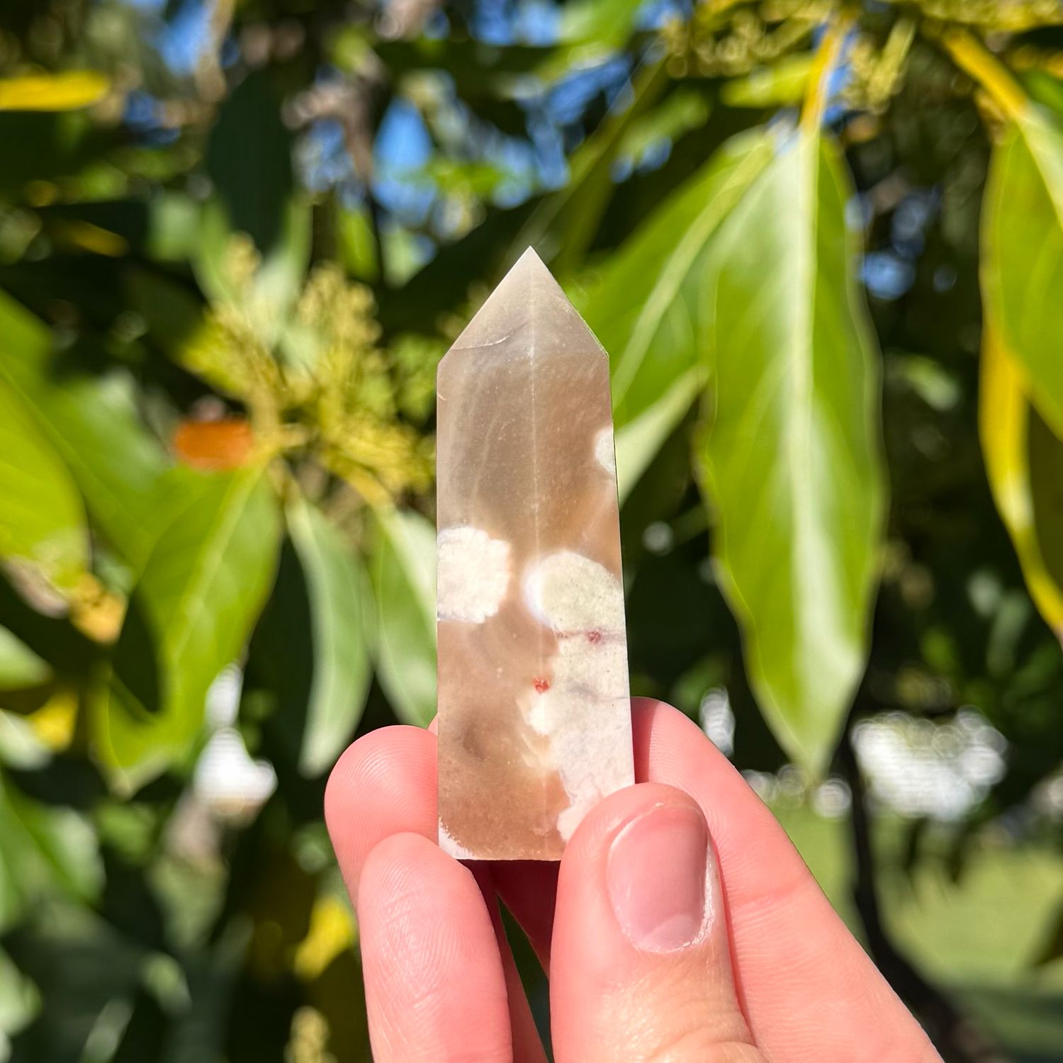 Flower Agate Point