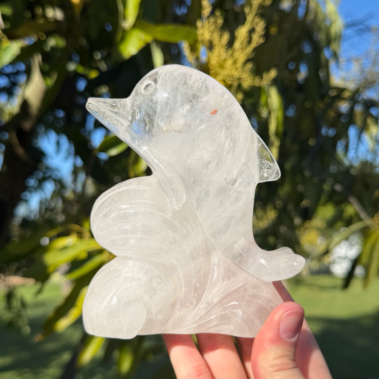 Clear Quartz Dolphin