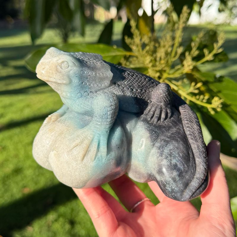 Trolleite Lizard 1.8kg