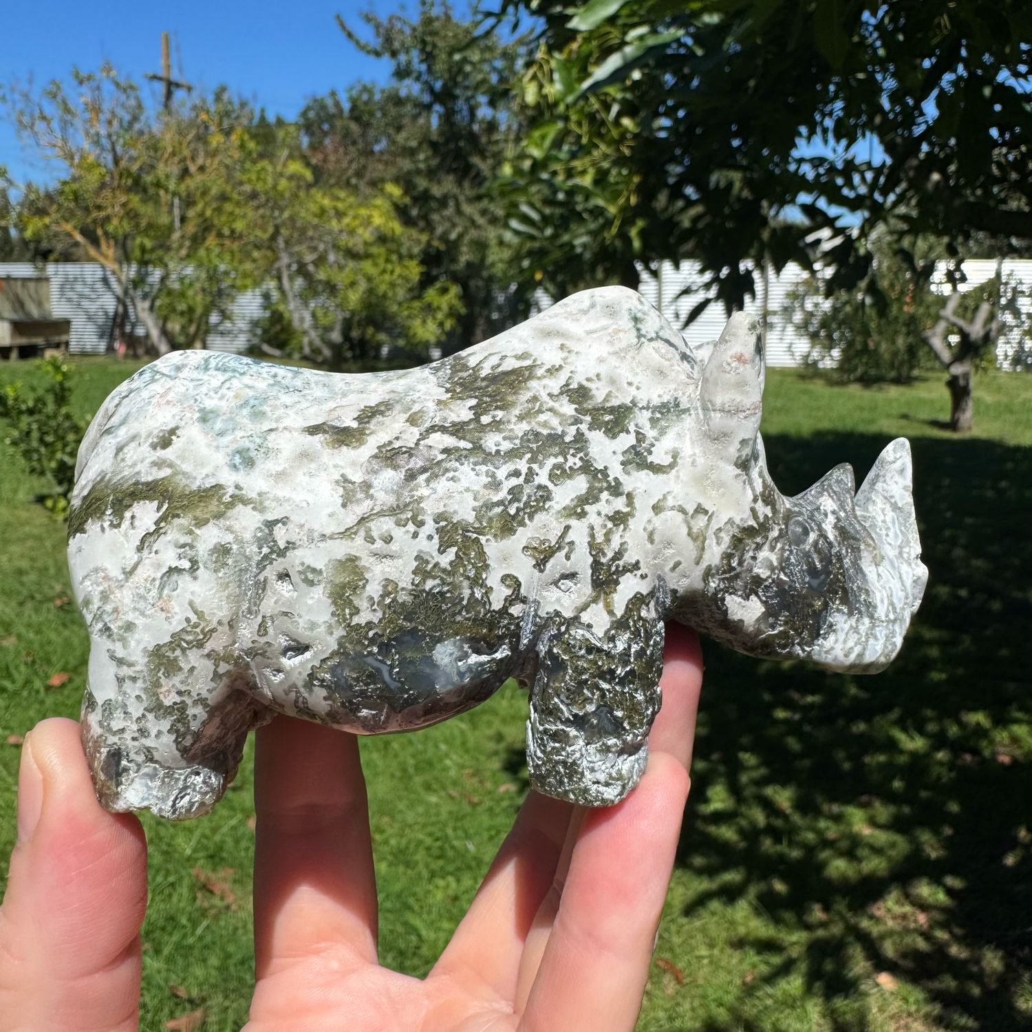 Moss Agate Rhino