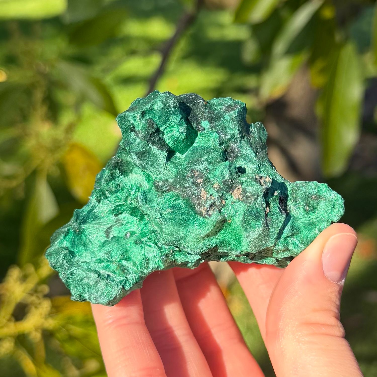 Velvet Malachite 242gms