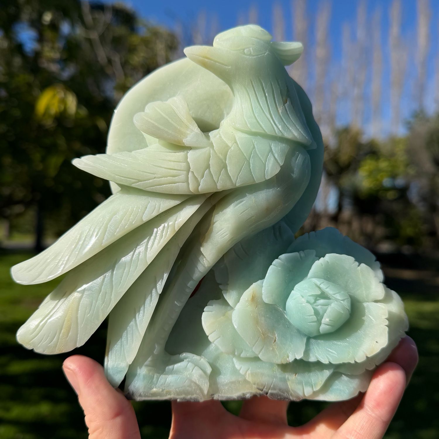 Caribbean Calcite Pheonix