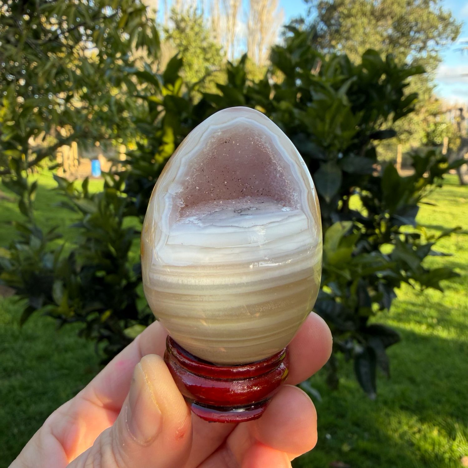 Carnelian Egg