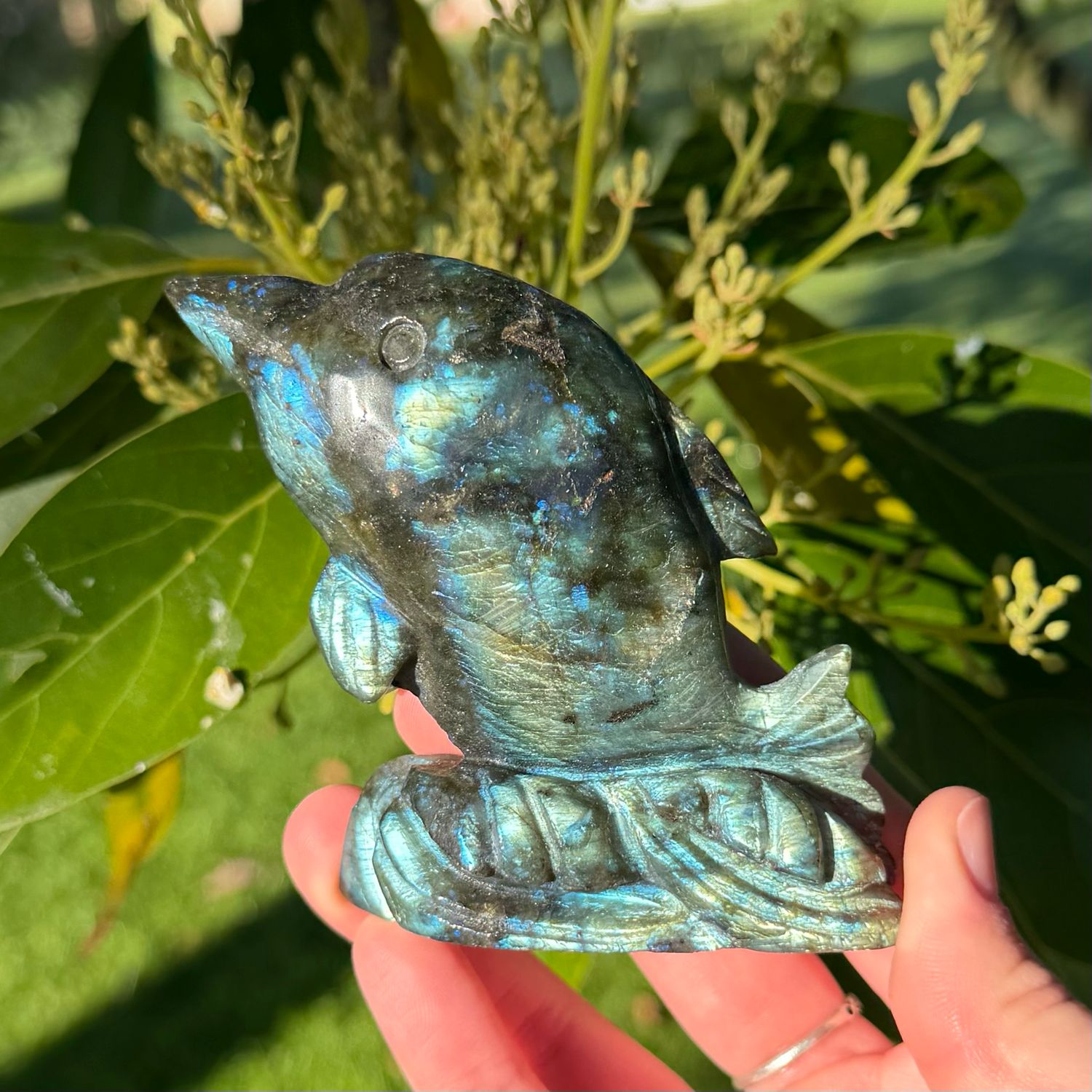 Labradorite Dolphin