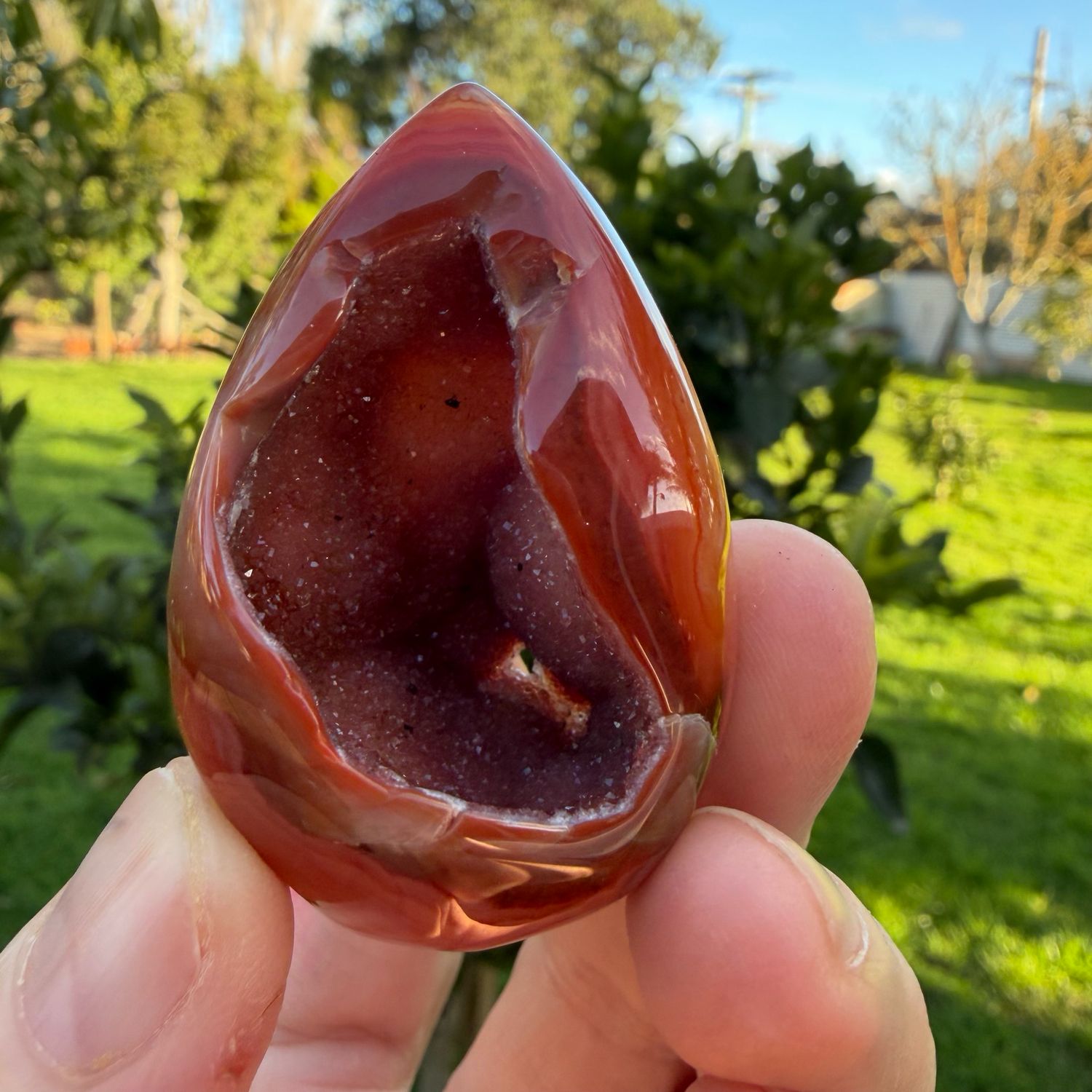 Carnelian Egg