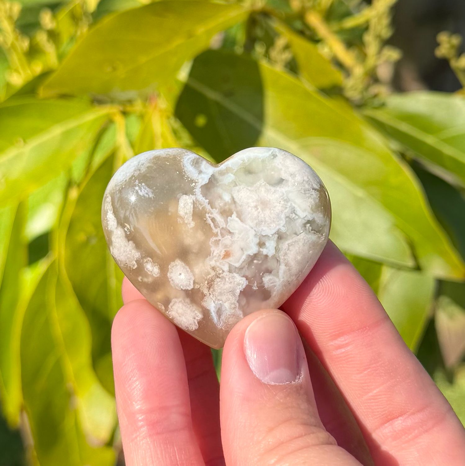 Flower Agate Heart