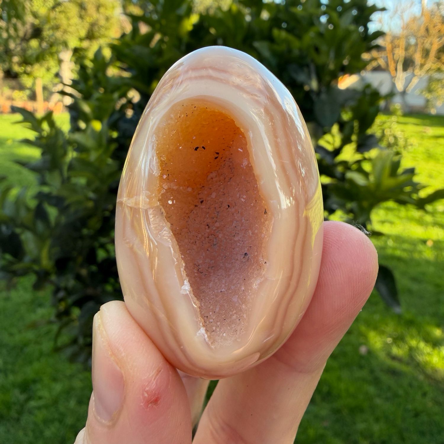 Carnelian Egg