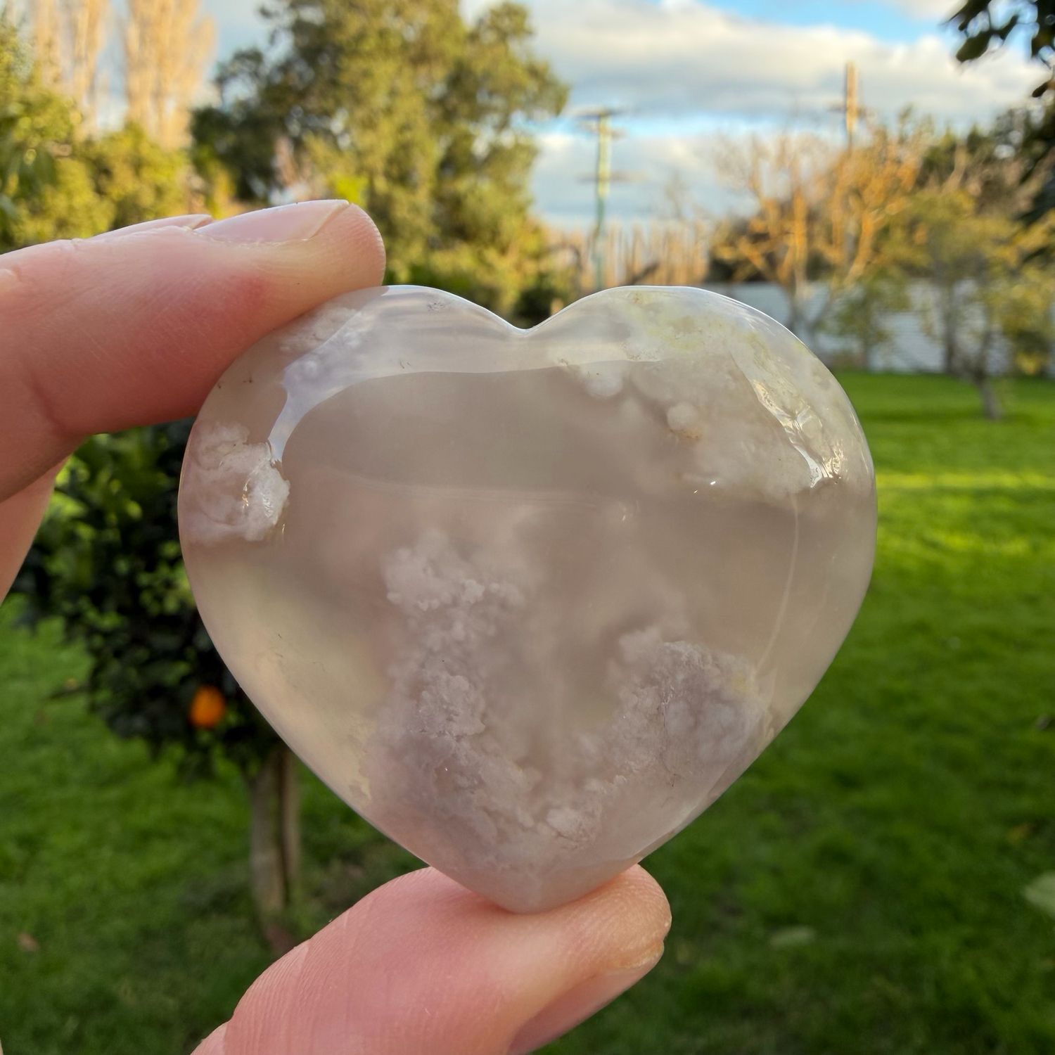 Flower Agate Heart