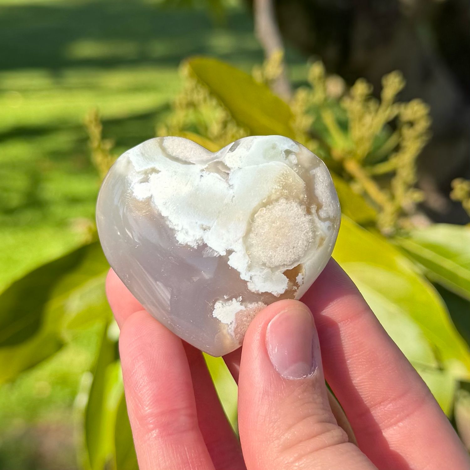 Flower Agate Heart