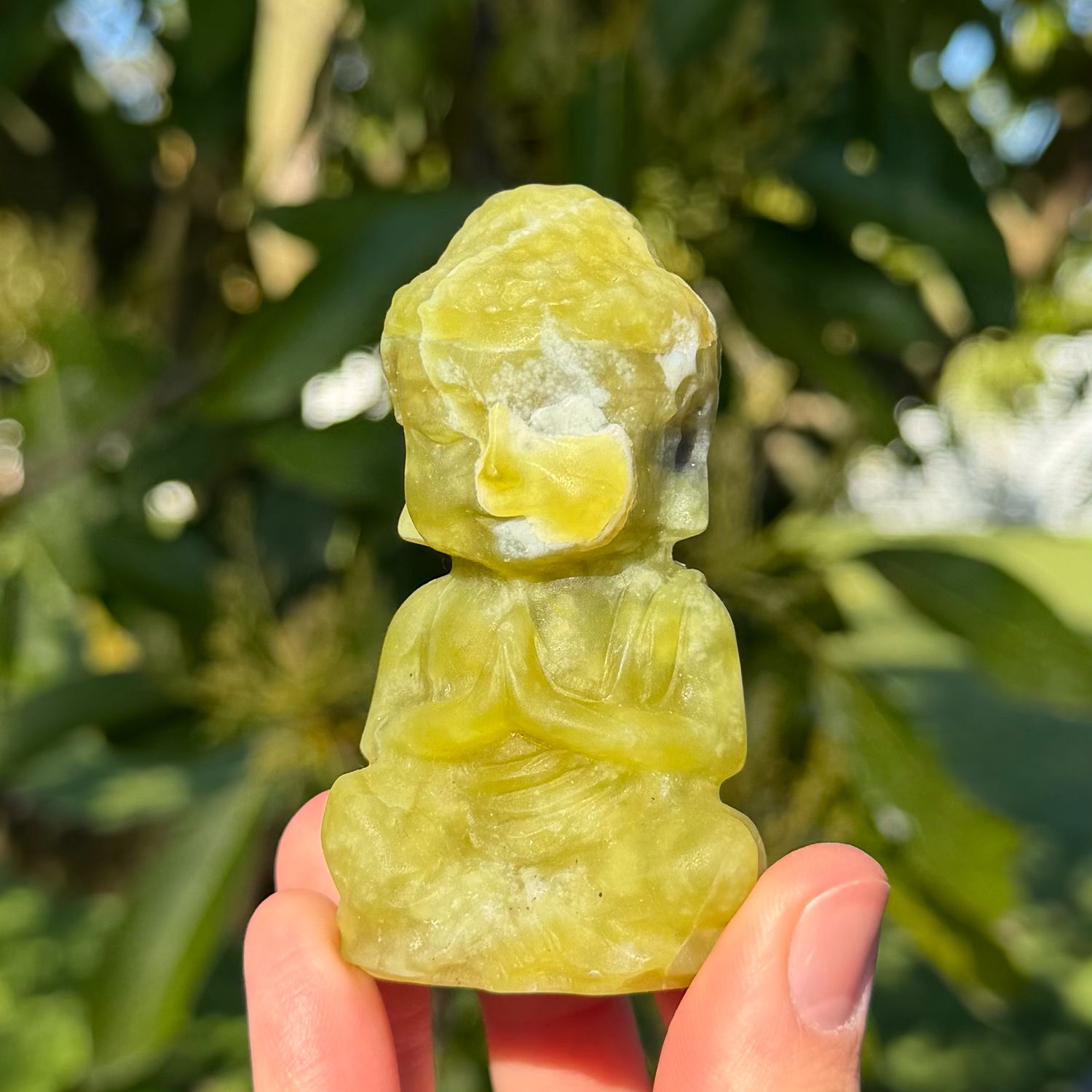 Lemon Jade Buddha