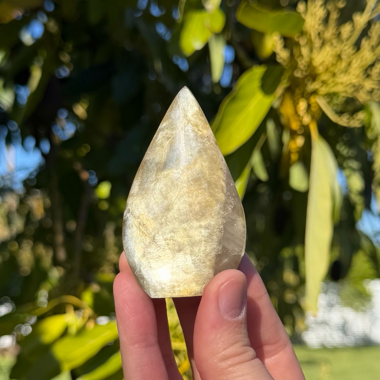 Golden Mica Flame
