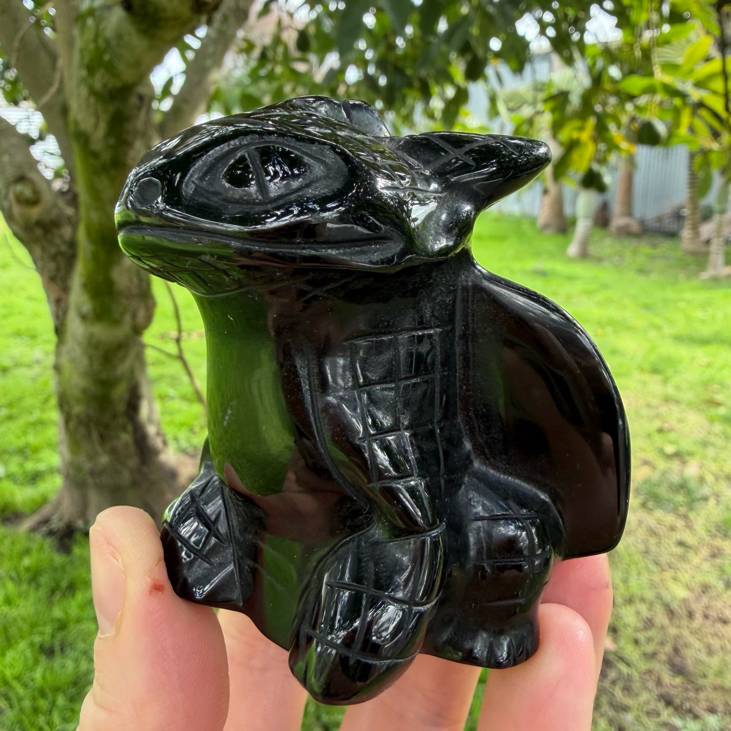 Black Obsidian Toothless