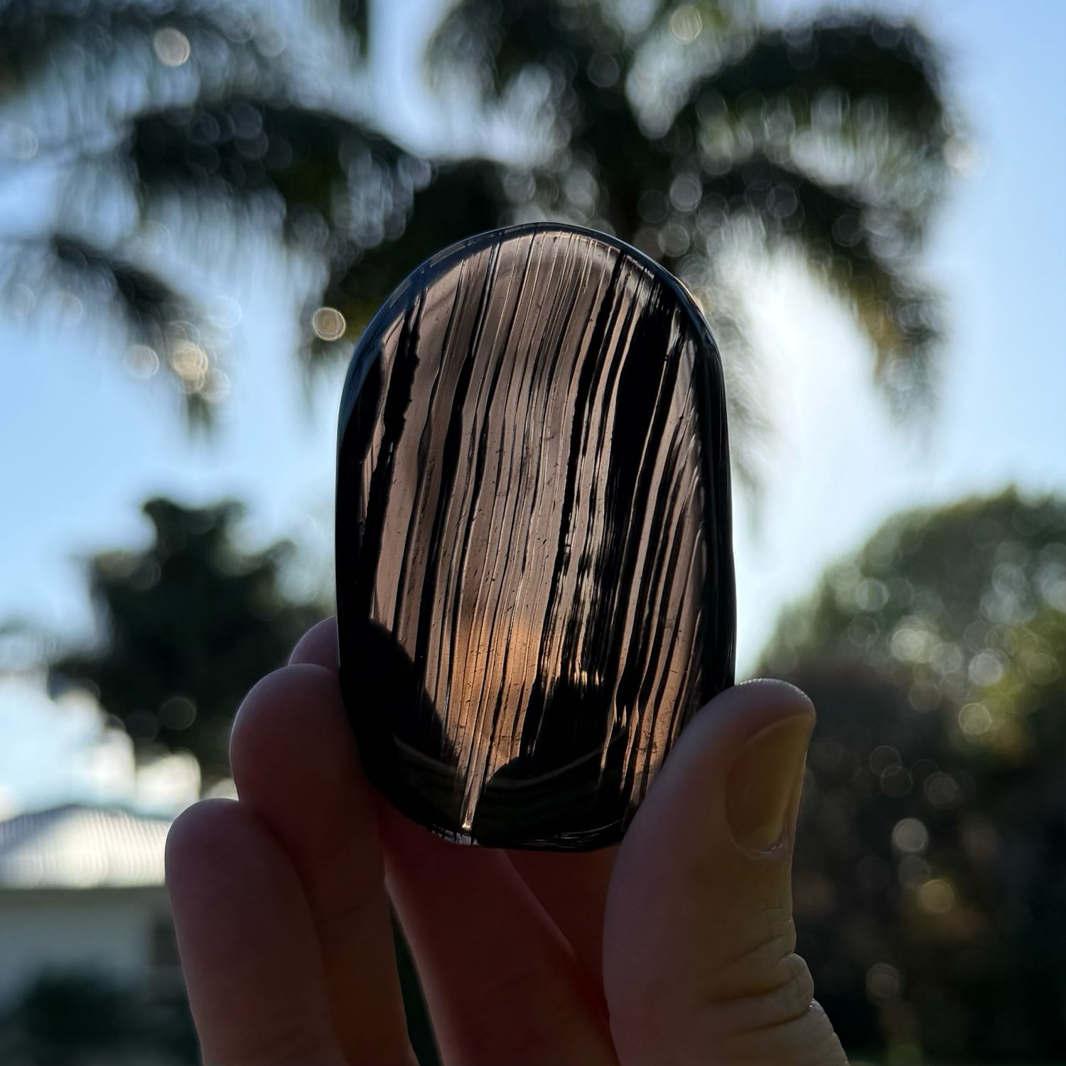 Ice Obsidian Palm Stone
