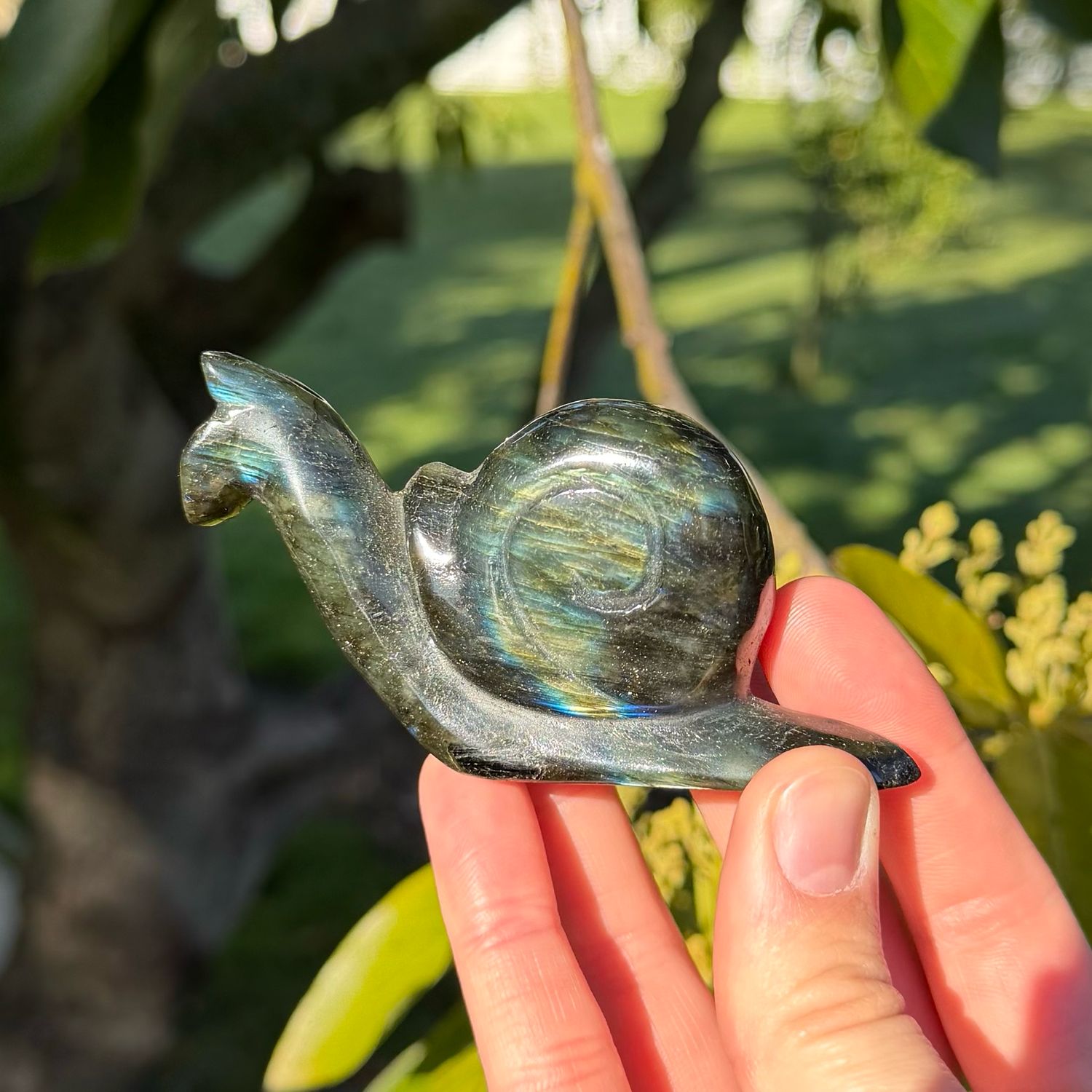 Labradorite Snail