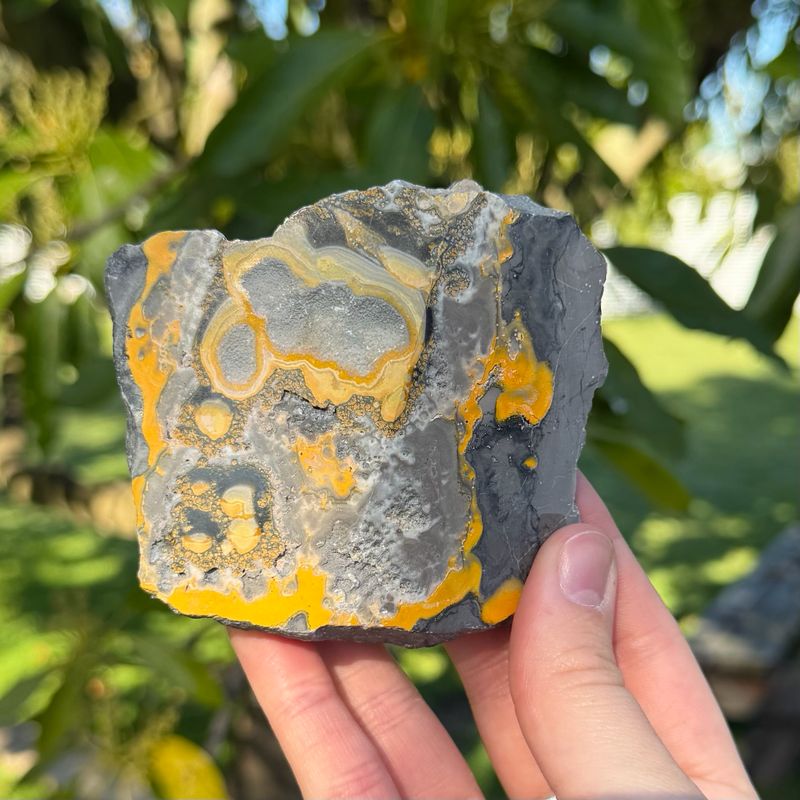 Bumble Bee Jasper Freeform