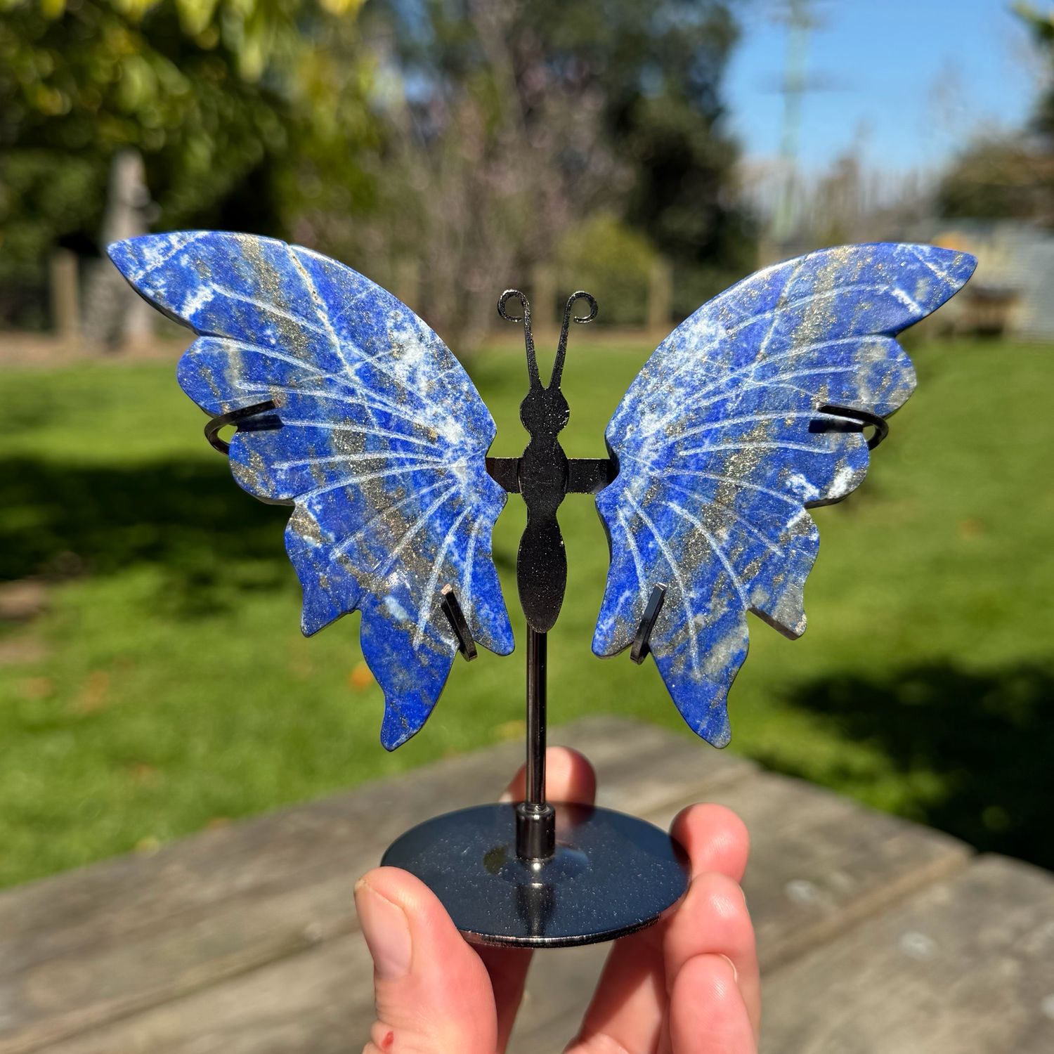 Lapis Lazuli Butterfly
