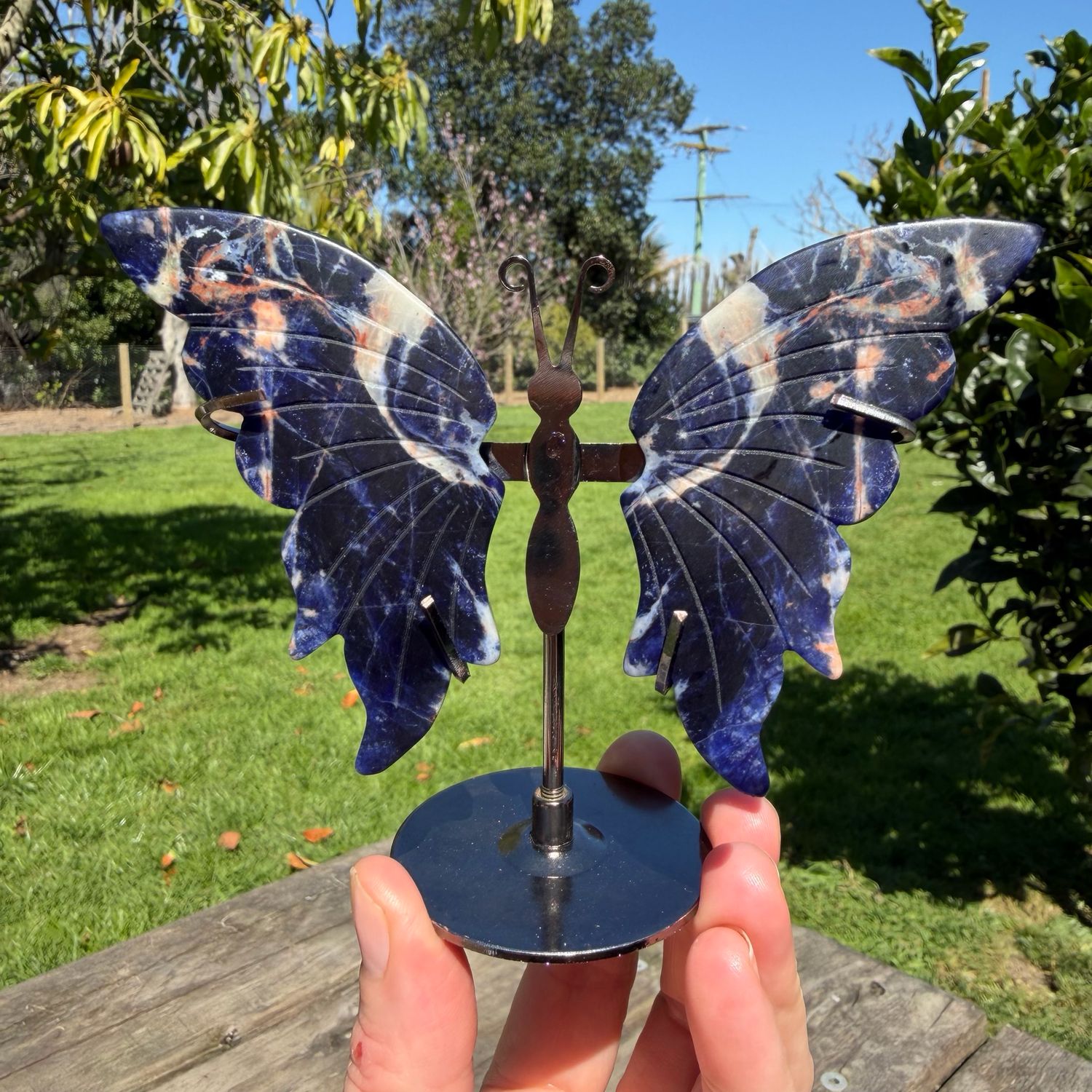 Sodalite Butterfly