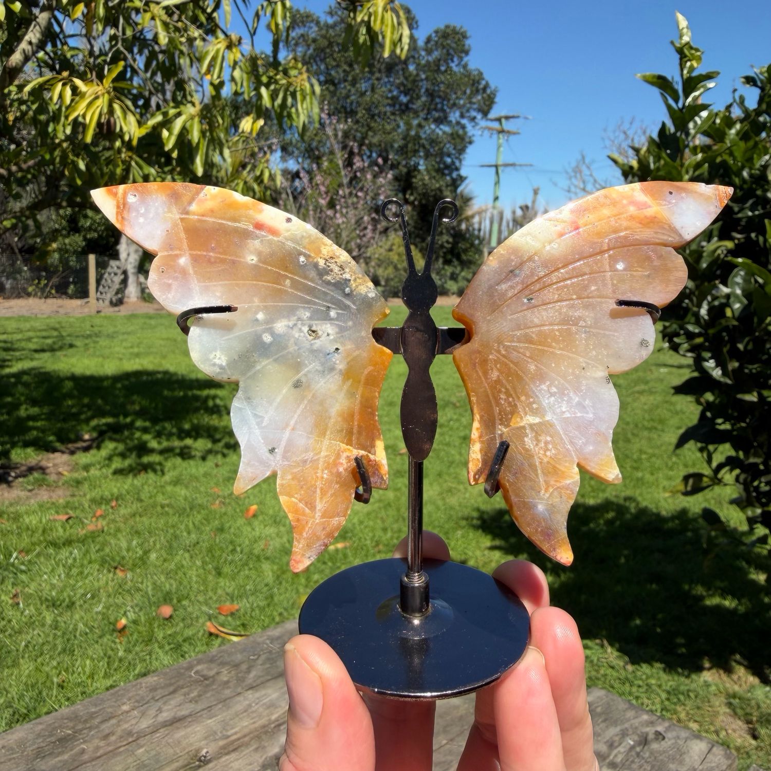 Beautiful Agate Butterfly
