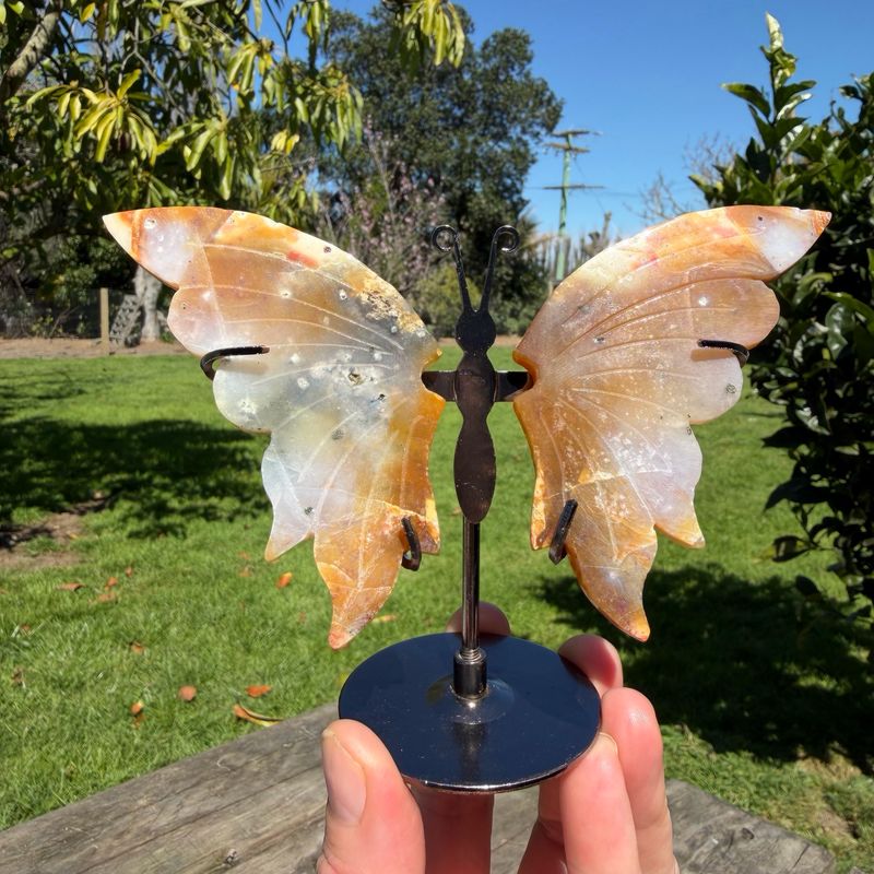 Beautiful Agate Butterfly