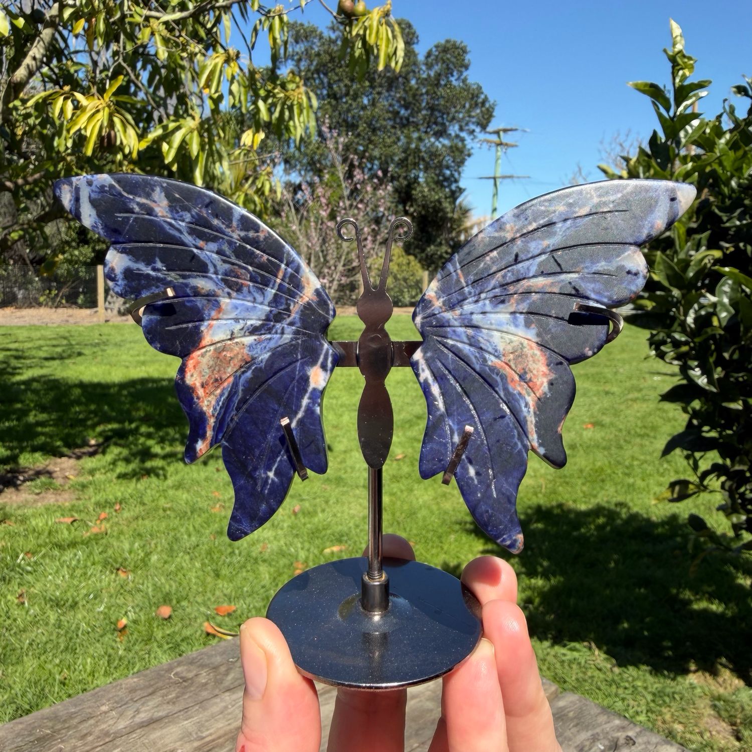 Sodalite Butterfly