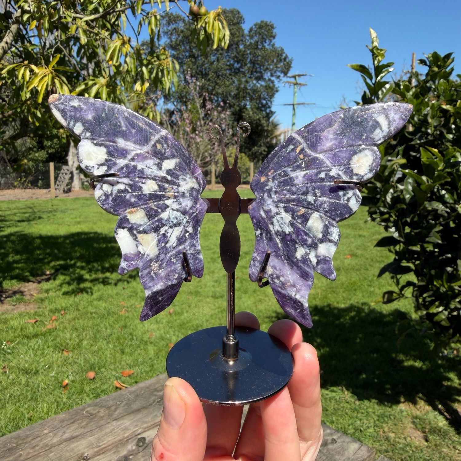 Fluorite Root Butterfly