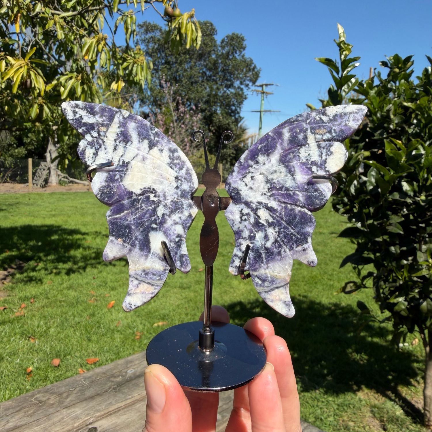 Fluorite Root Butterfly