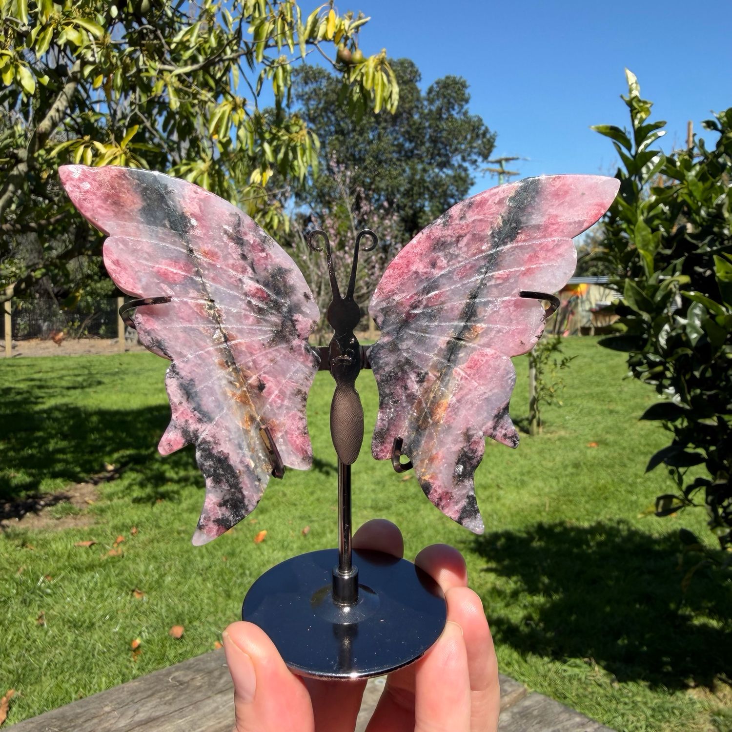 Rhodonite in Quartz Butterfly