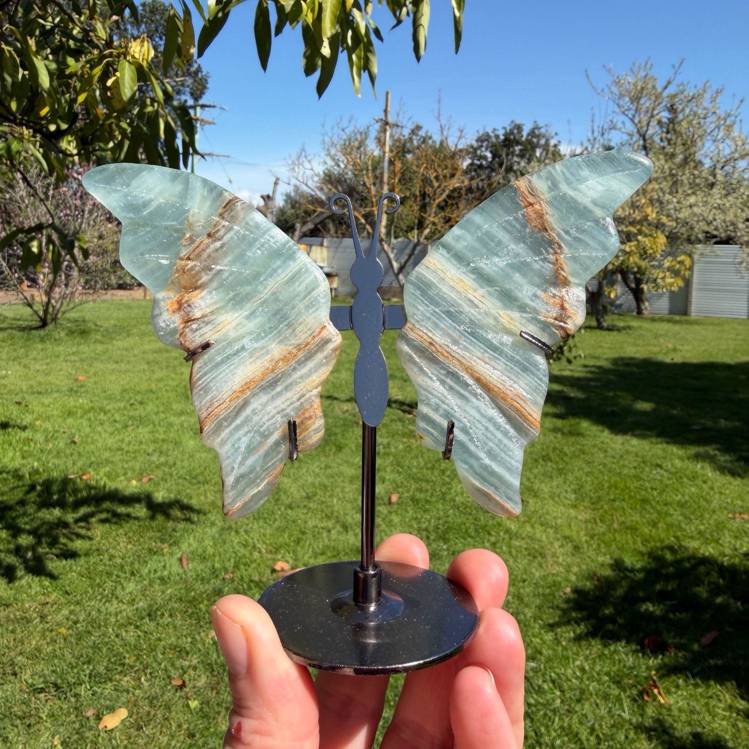 Blue Banded Calcite Butterfly