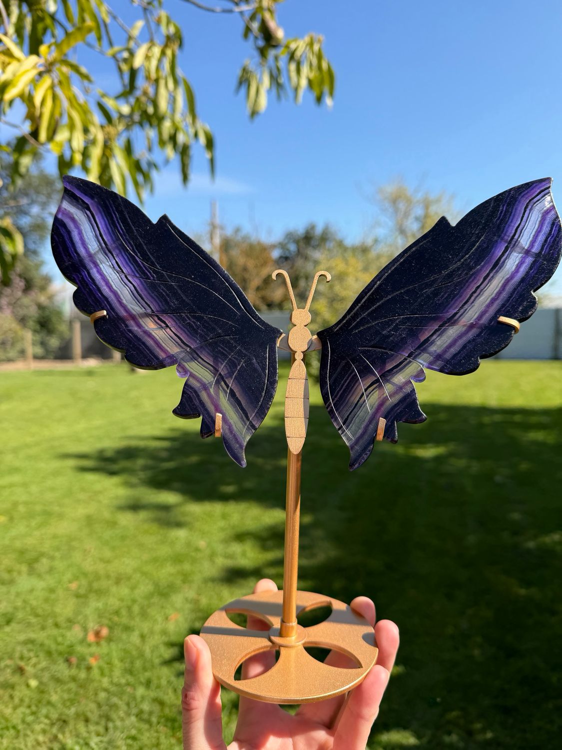 Large Purple Fluorite Butterfly on Stand