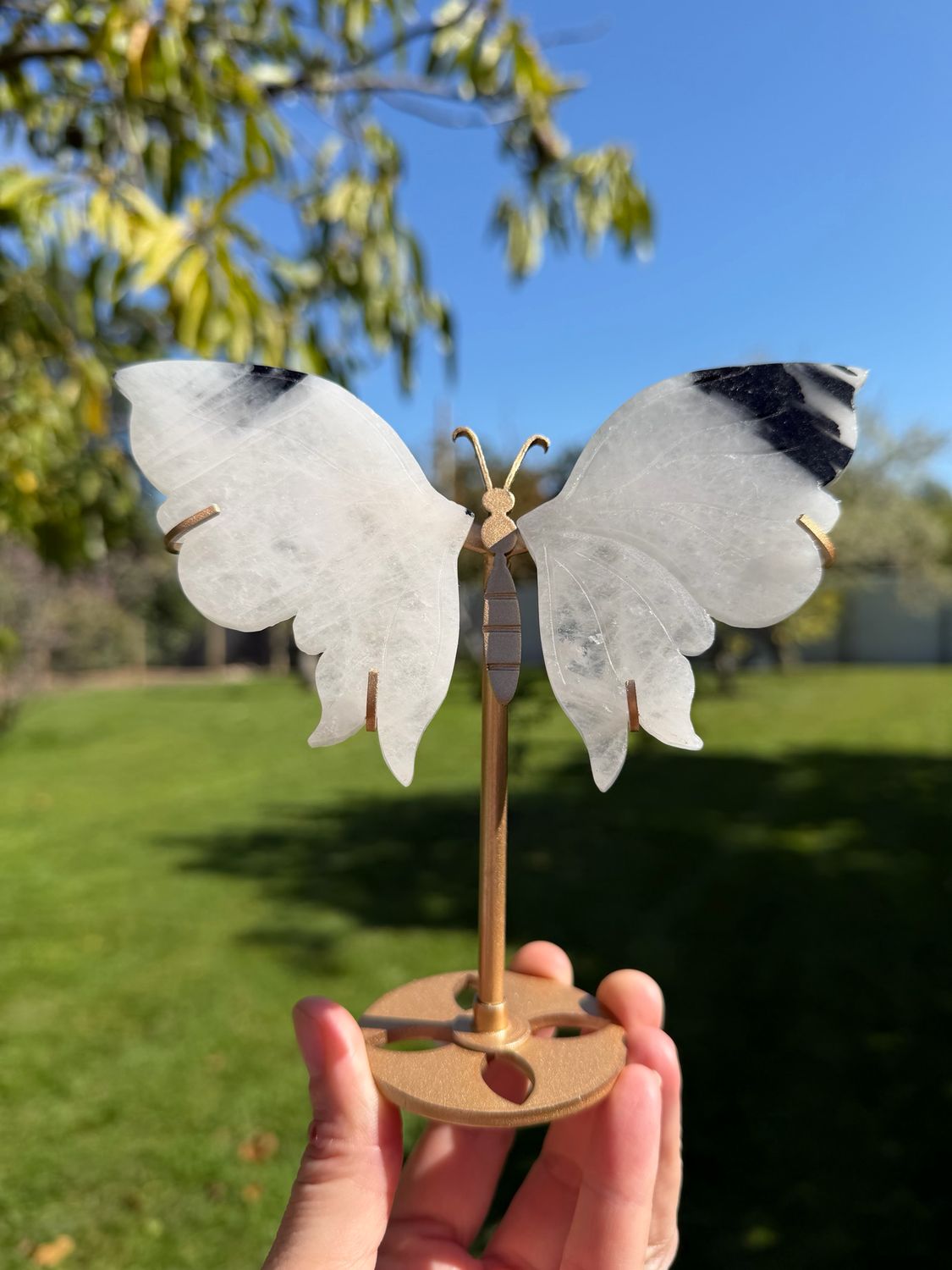 Tourmaline In Quartz Butterfly