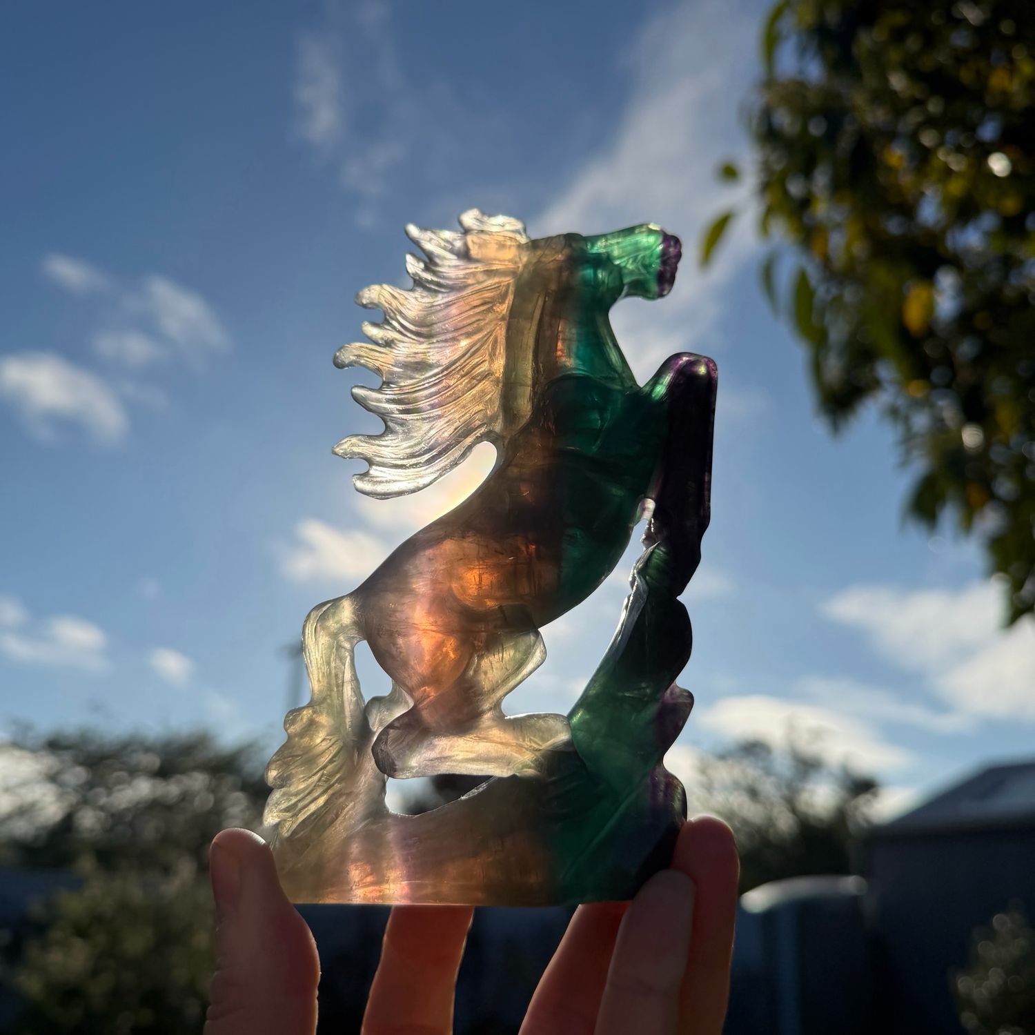 Rainbow Fluorite Hand Carved Horse
