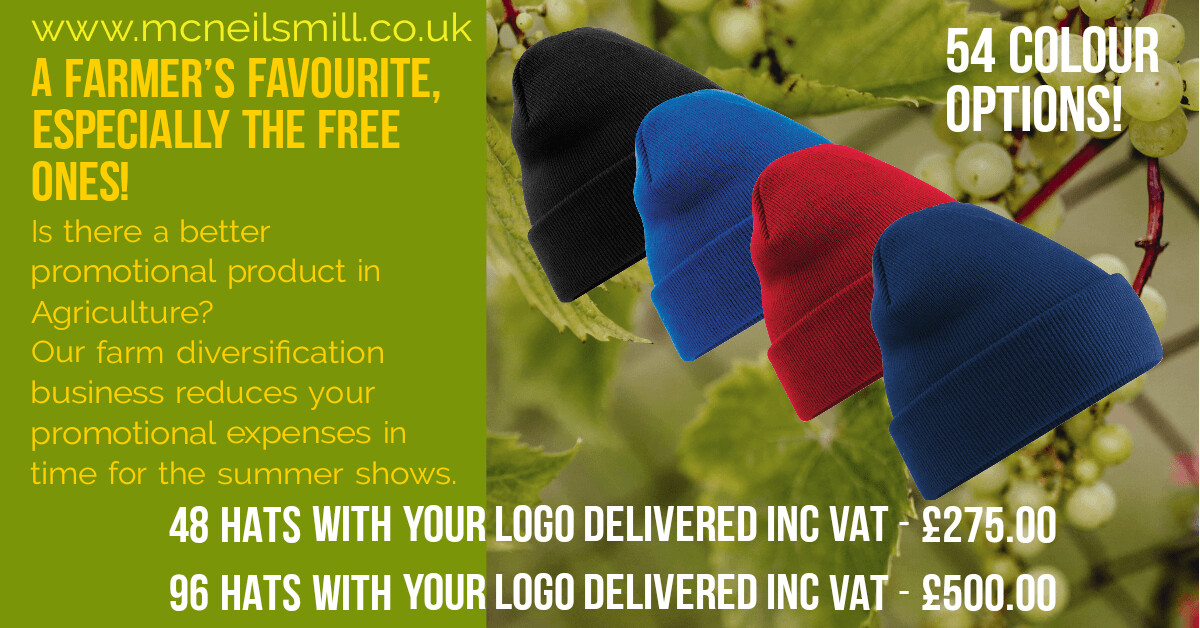 Promotional Branded Beanie (96pcs)