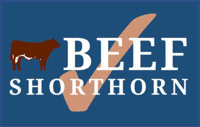 Beef Shorthorn Society - Supporting #biteintobritish
