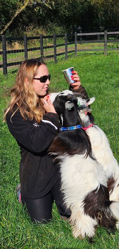 Goat Experience and Farm Animal Exclusive Encounter for Two People