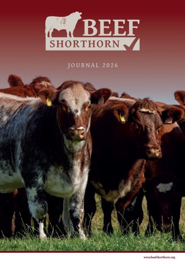 Beef Shorthorn Journals - FREE SHIPPING (UK ONLY)