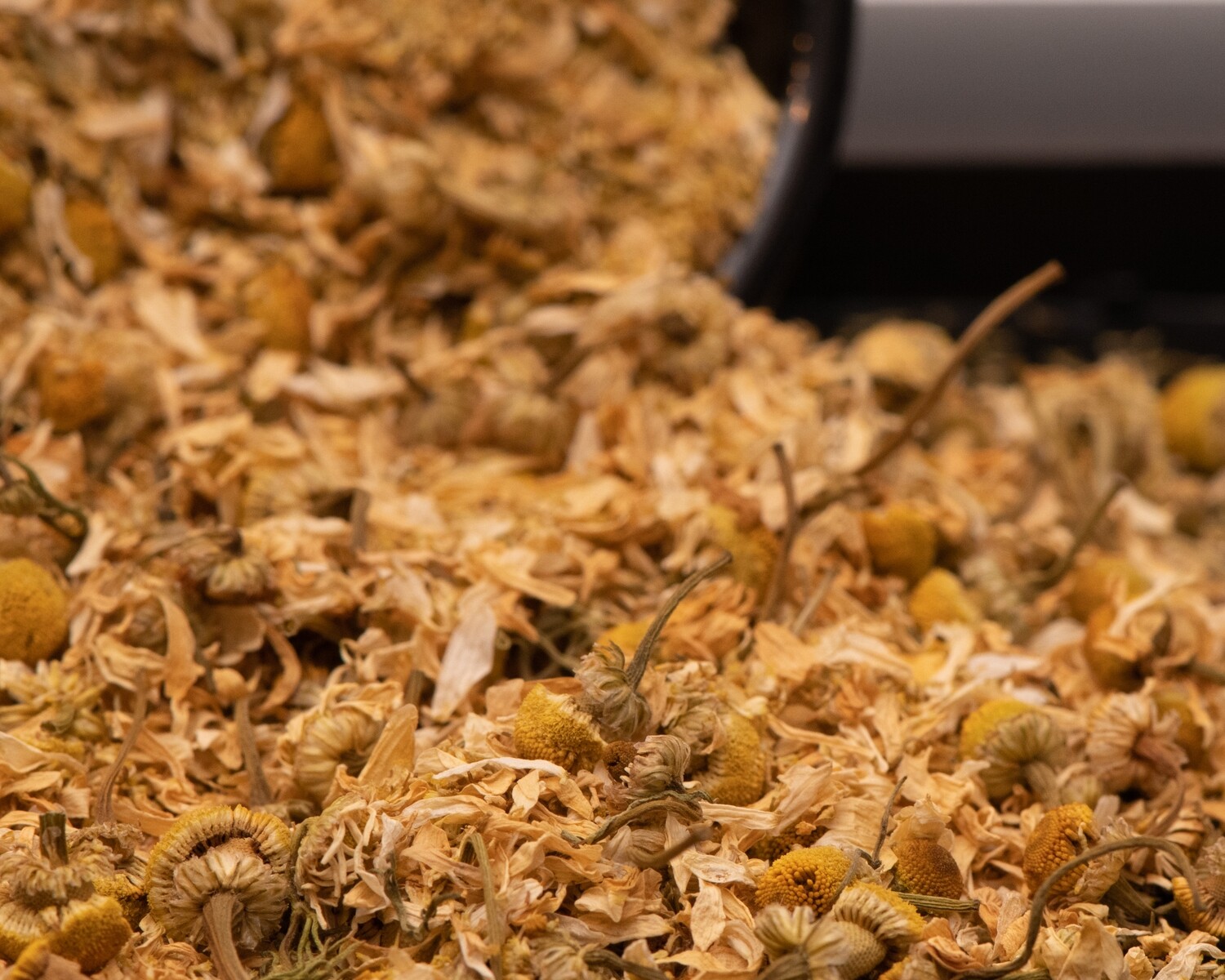 Chamomile &amp; Chill