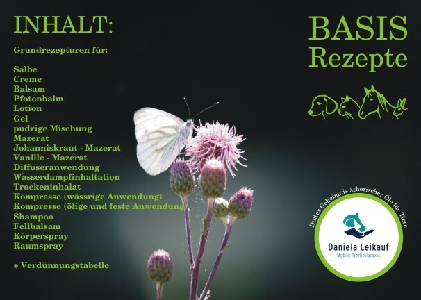 Basis-Rezeptkartenset