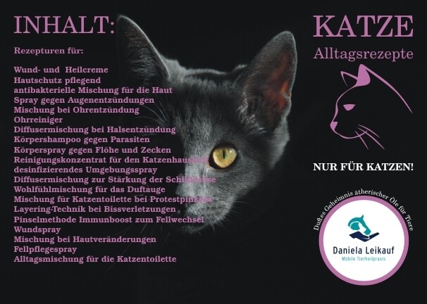 Rezeptkartenset - Katze