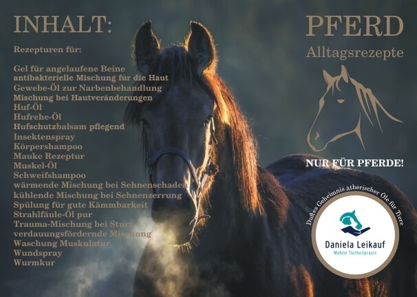 Rezeptkartenset - Pferd