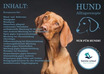 Rezeptkartenset - Hund Rezeptkartenset - Hund