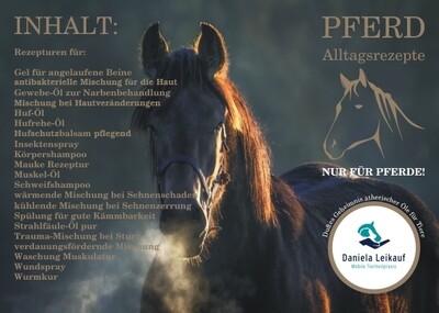 Rezeptkartenset - Pferd