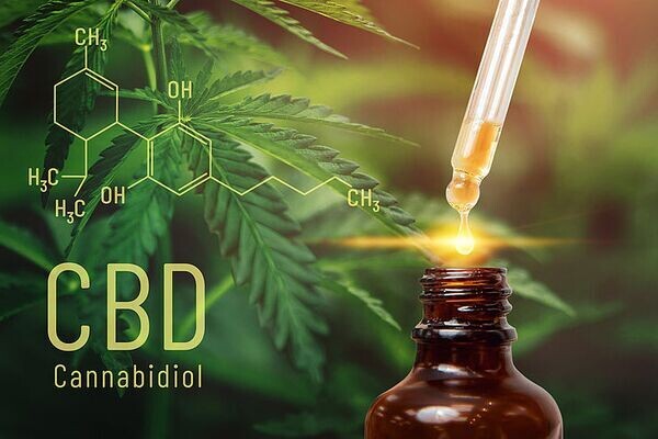 CBD Costa Rica 506