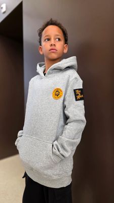 Sweat à capuche basique pour enfant Gris