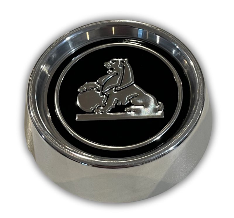 GTS STEEL ANTI-THEFT WHEEL CENTER CAP