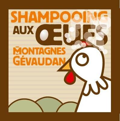 SHAMPOING SOLIDE AUX OEUFS DE POULES / CANES