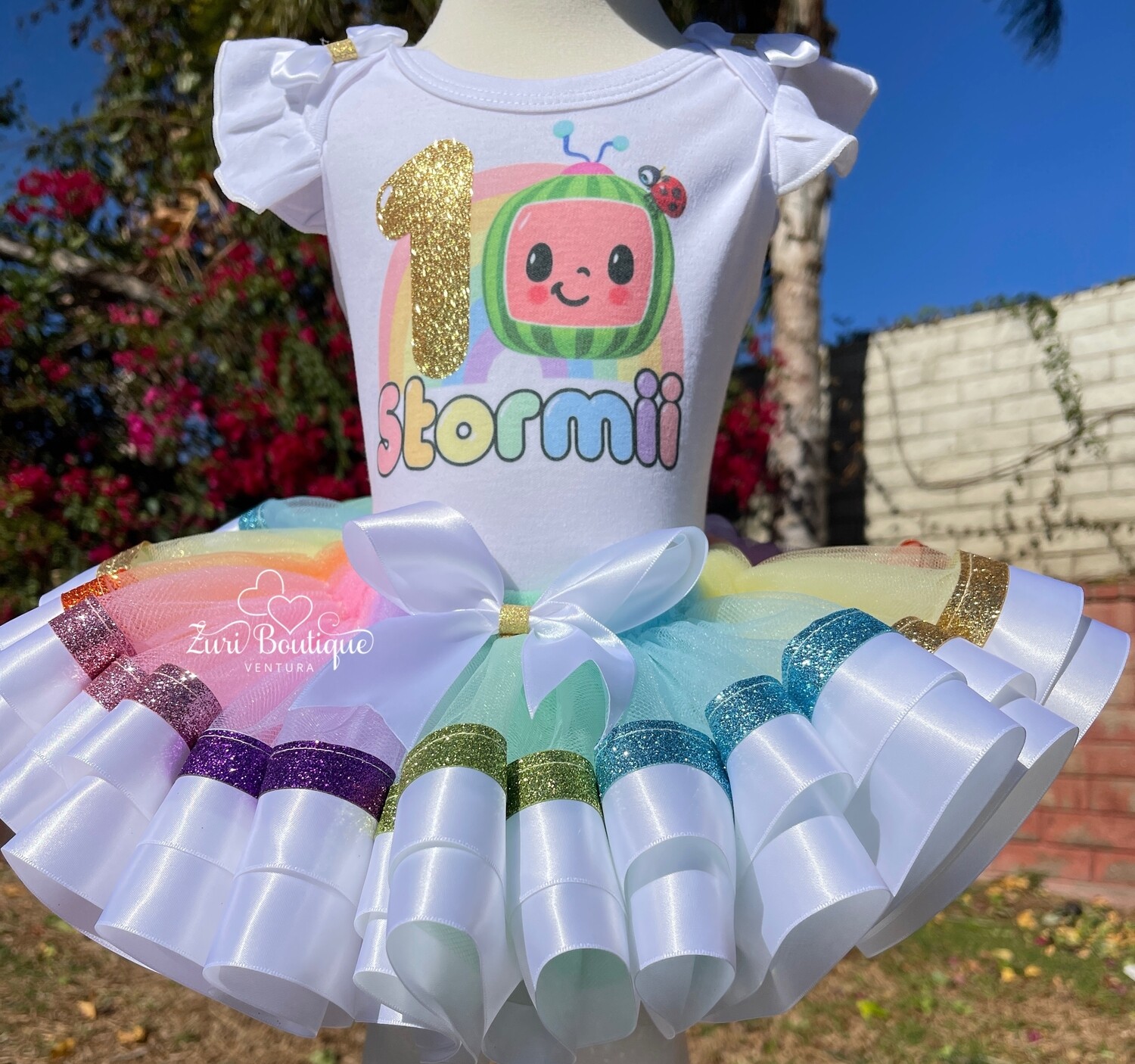 Pastel Cocomelon Birthday Tutu Outfit